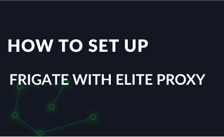 Setting up a proxy in the Frigate browser extension