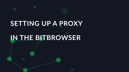 Setting up a proxy in the BitBrowser